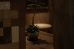 カウンターの片隅に