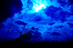 雲シリーズ ③