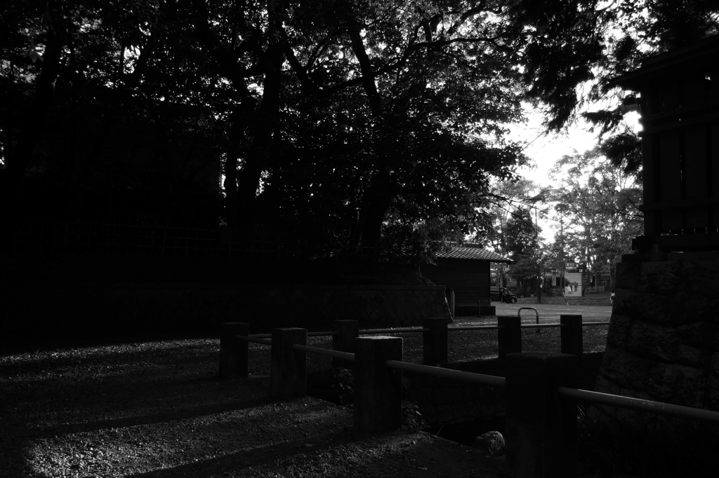 津島神社②
