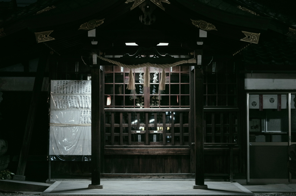 社
