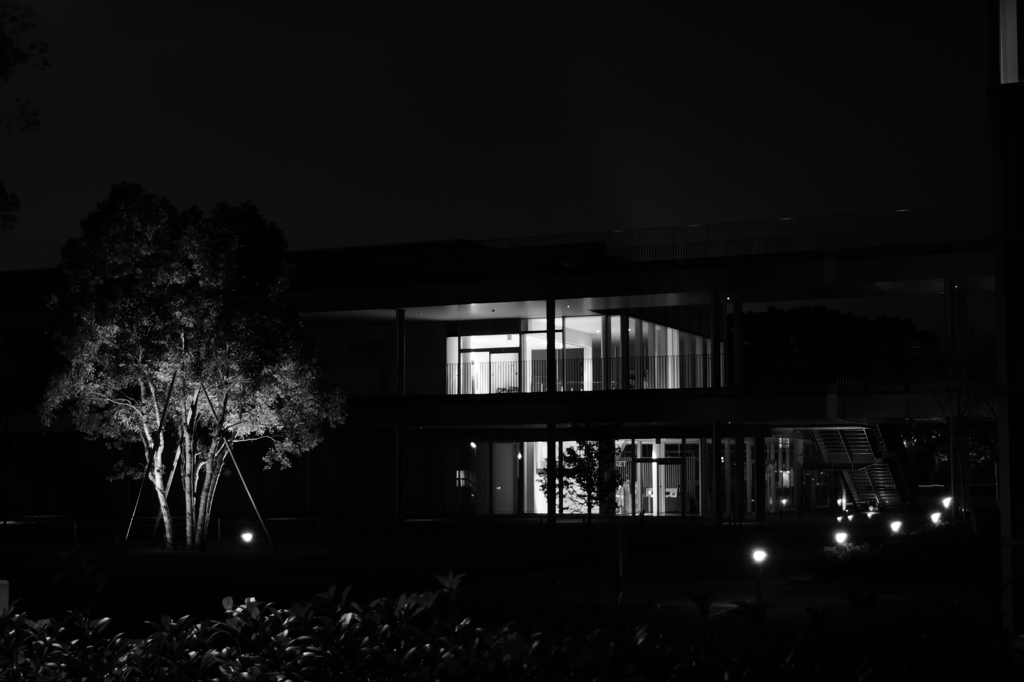 続 Night campus