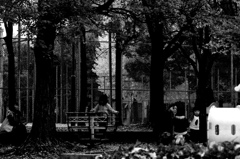 秋の公園