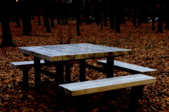 公園②