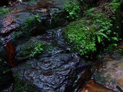 赤目四十八滝⑧