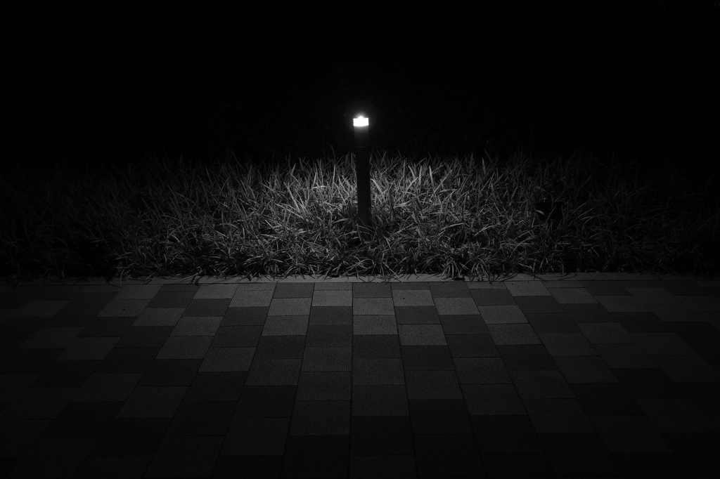 Night campus ②