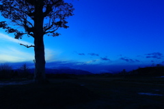夕景