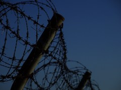 barbed-wire fence