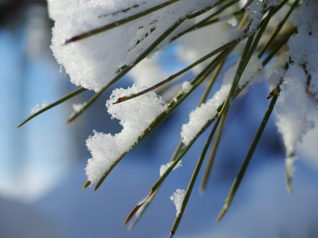 snow 2