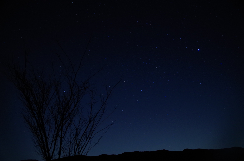 自棄の夜明け前