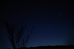 自棄の夜明け前