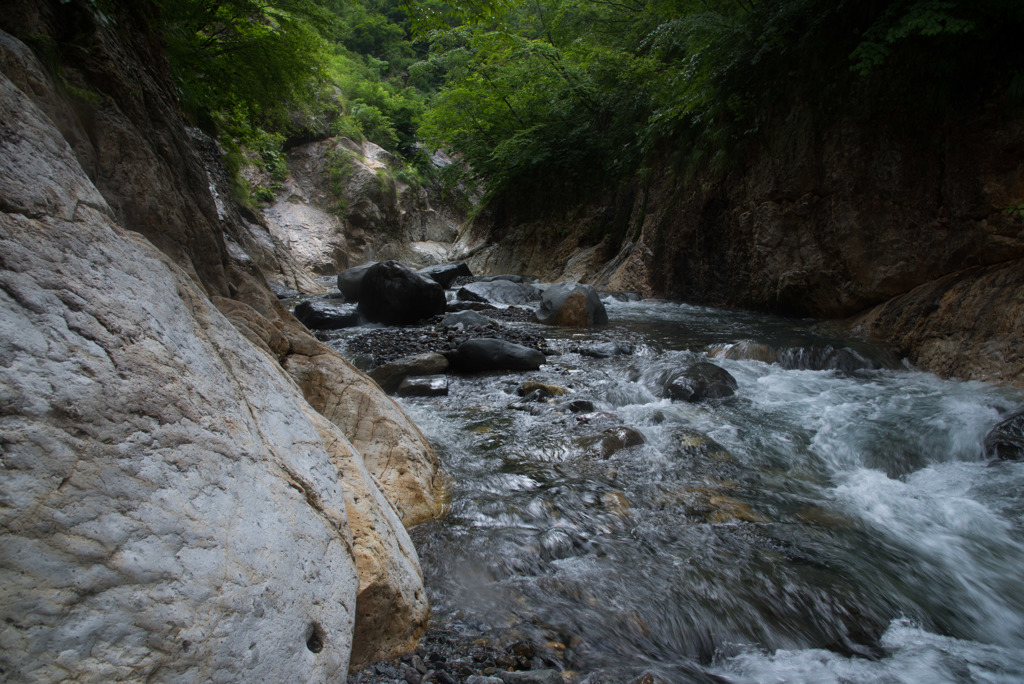 DSC_7501
