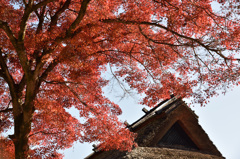 香嵐渓古民家と紅葉