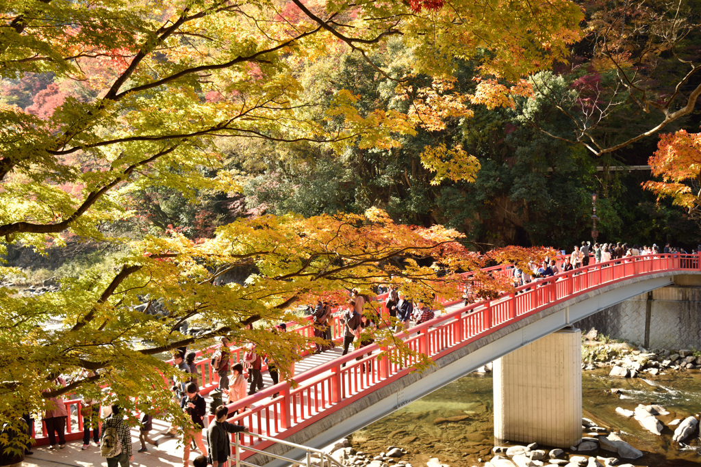 香嵐渓紅葉