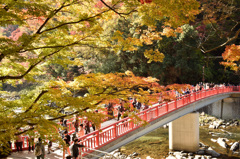 香嵐渓紅葉