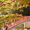 香嵐渓紅葉