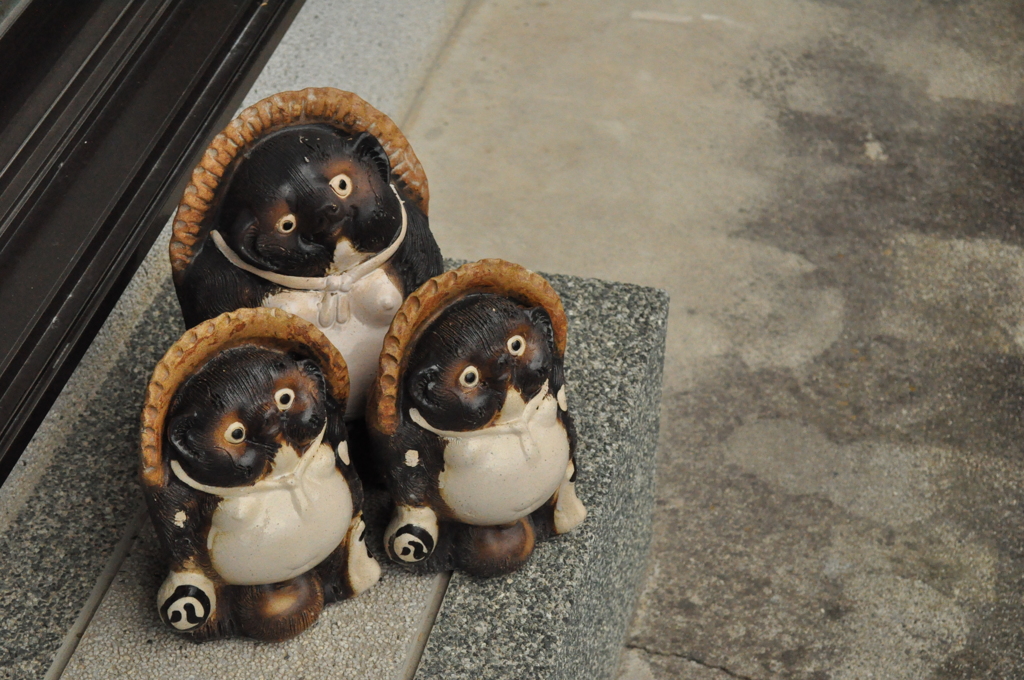 ３匹狸