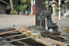 ちょろちょろ