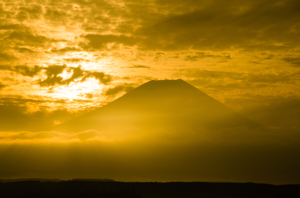 黄金色の富士山