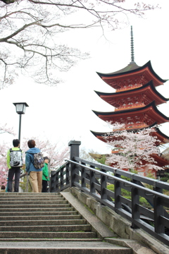 宮島、五重塔