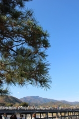渡月橋