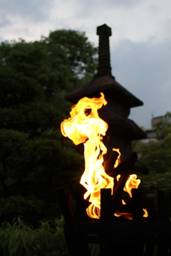 炎。