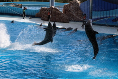 Adventure World。