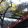 秋と橋