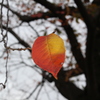 万博記念公園にて。