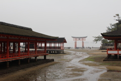 宮島（干潮時）