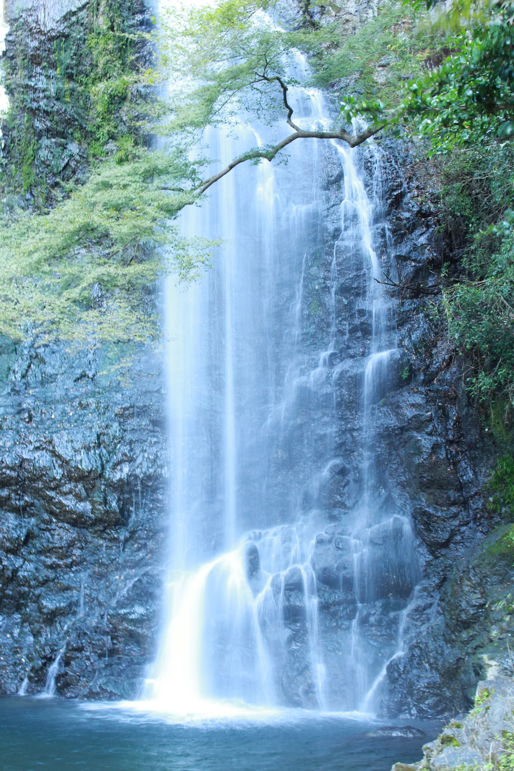 箕面大滝その１