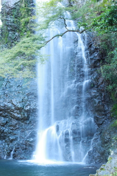 箕面大滝その１