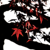 紅葉撮影会　