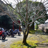仲間と大畑駅へ