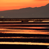 干潟の夕陽