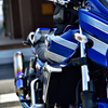 ZRX1200