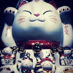 招き猫 Lucky cat