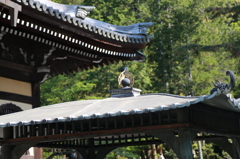 蹴上0010