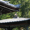 蹴上0010