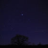 ハルニレの木と夜空