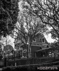 Old Fashioned Old Fashioned