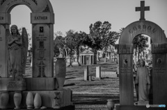 Calvary Cemetery