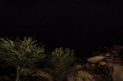 夜のバックヤード