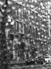 Rain in Seattle 