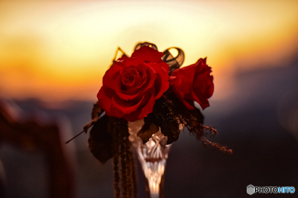 Dry Flowers