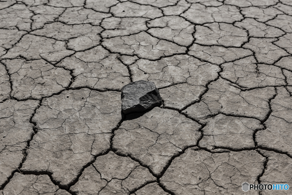 動かないみたいです＾＾