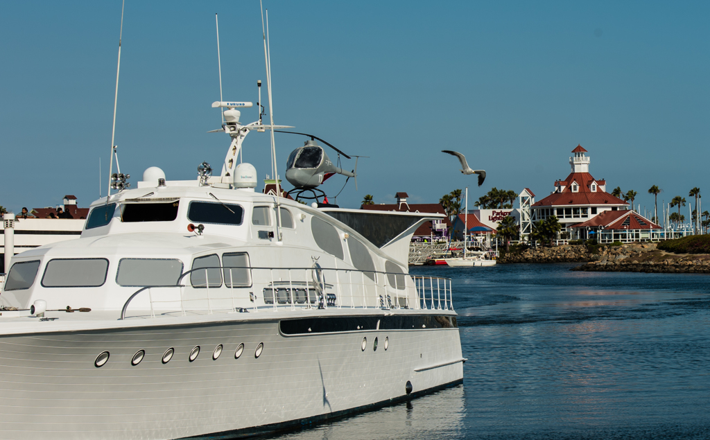 カモメとモーターヨット