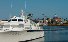 カモメとモーターヨット