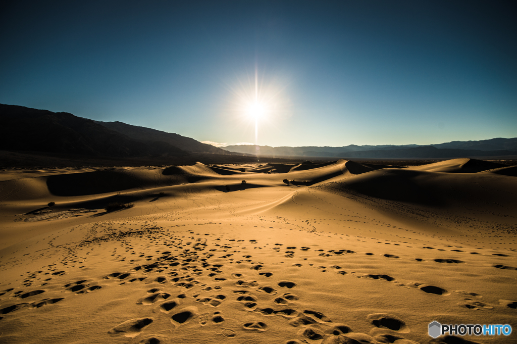 Mesquite Dune