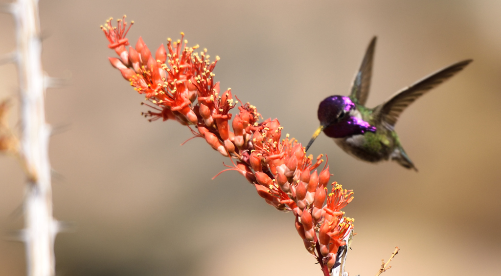 光ってるけどボケた＞＜