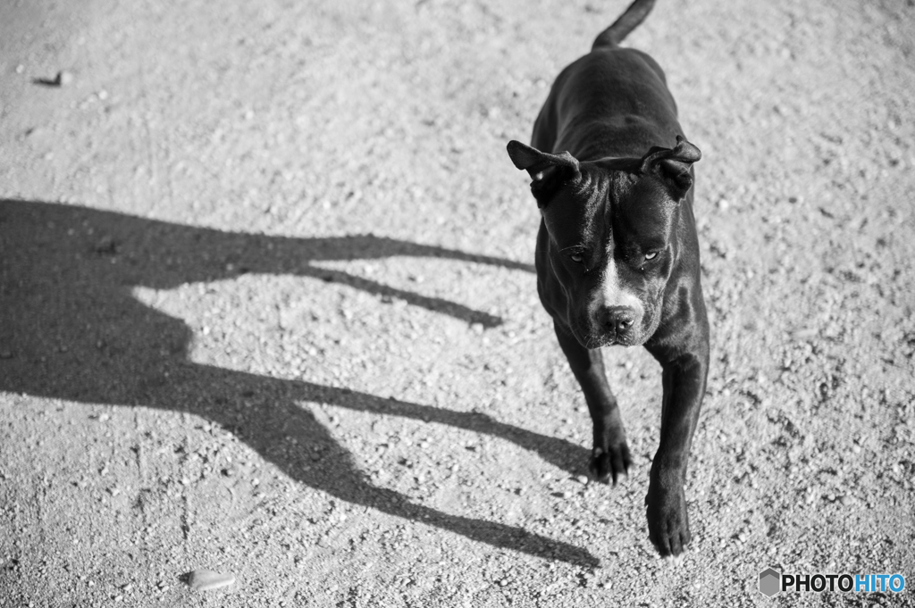 襲われるかも！